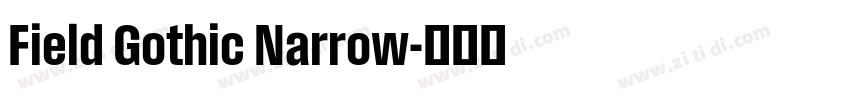 Field Gothic Narrow字体转换